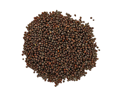 BLACK PAPPER 1KG